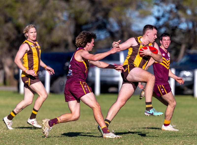 Hawks have a narrow win over the Bulldogs post image