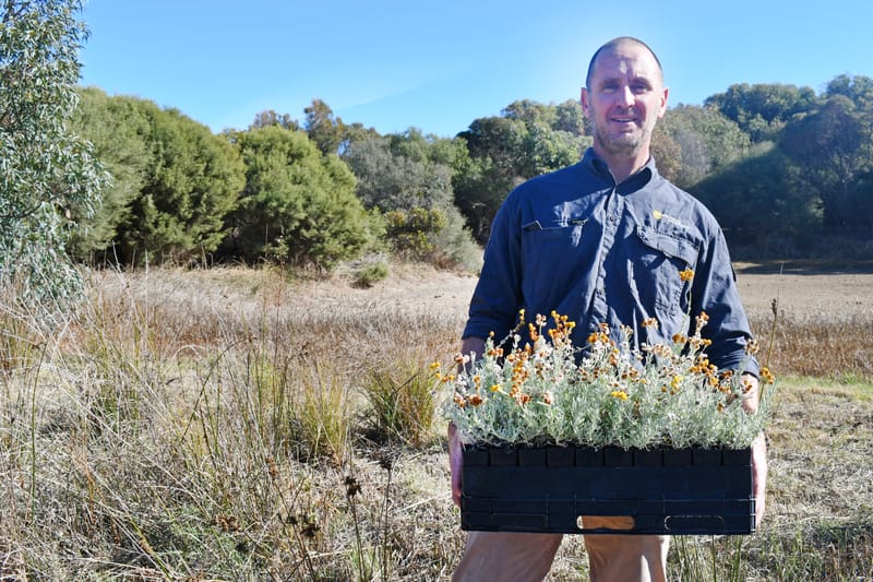 Waterways project helping to make healthy habitats post image