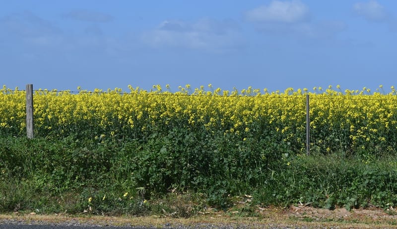 Warm and wet Spring expected, bushfire risk increased post image