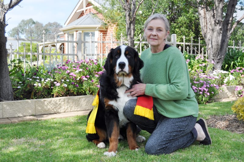 Local Bernese triumphs at Royal Show post image
