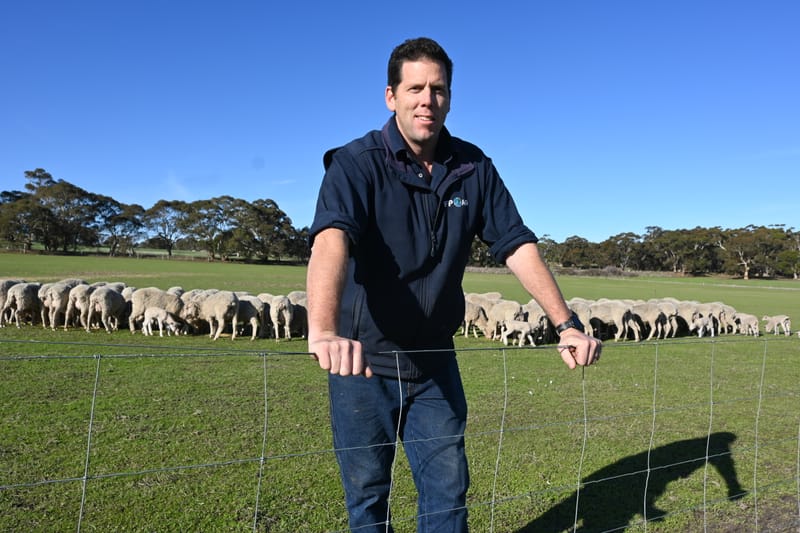 Farmers face long road to recovery post image