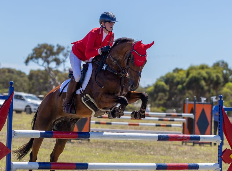 Leaping success for horse competition post image