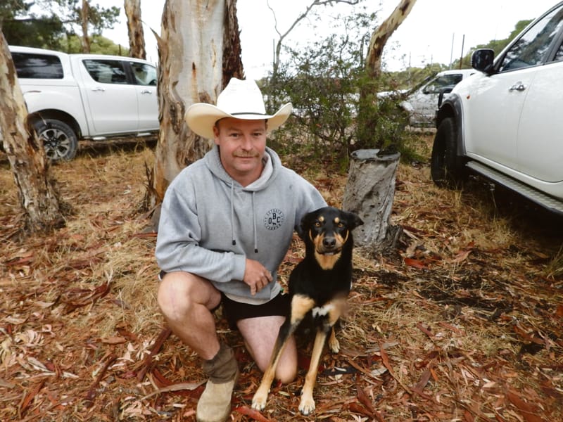 Handlers compete for ‘top dog’ status at Finniss post image