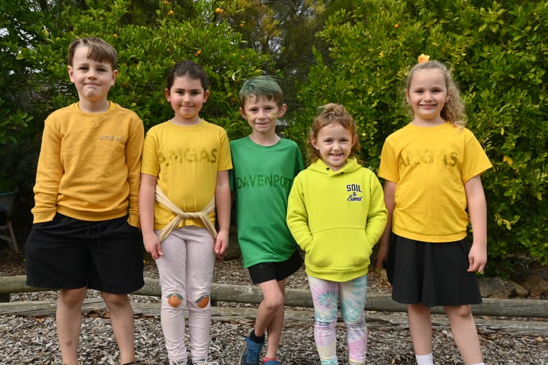 Davenport crowned Macclesfield Primary Sports Day champions post image