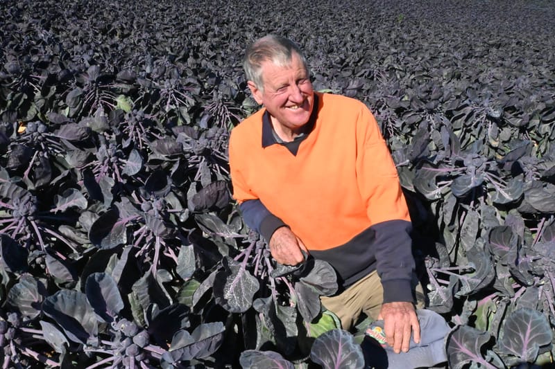 Mount Barker sprouts across the world post image