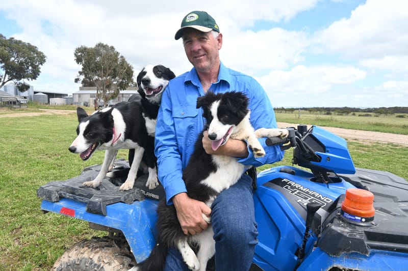 FOUR-LEGGED CHAMPIONS: Local trainer part of winning team in sheepdog competition post image