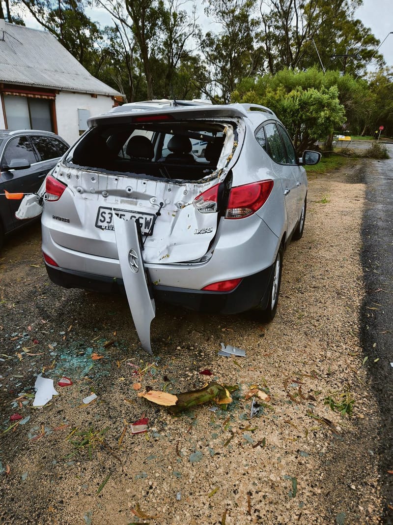 Meadows community helps locate unsuspecting hit-and-run motorist post image