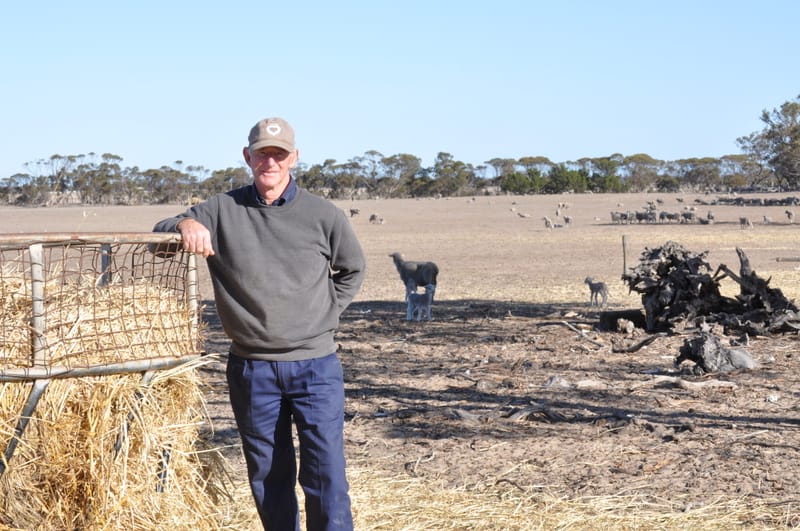 Rain welcomed by farmers post image