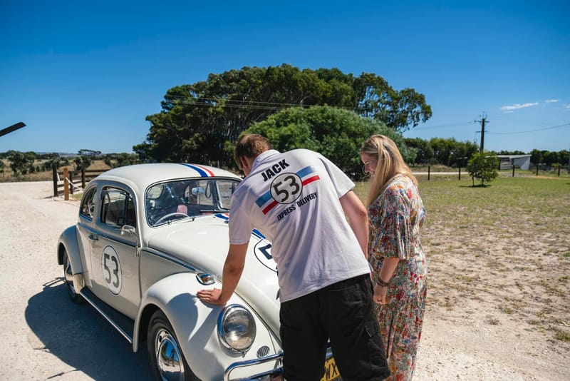 Herbie finds a home post image