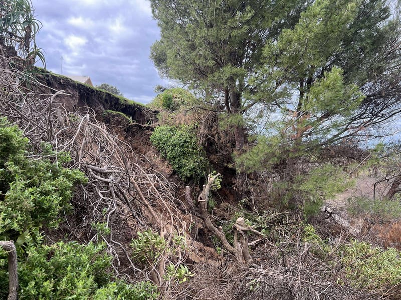 Cockle Train services impacted by wet weather around Hayborough post image
