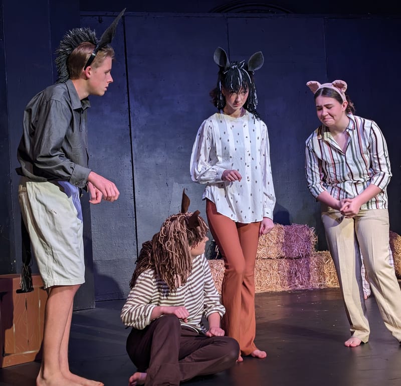 Youth theatre take on Orwell classic post image