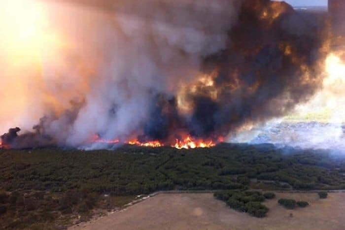 Local council staff receive National Emergency Medals for recovery efforts post image