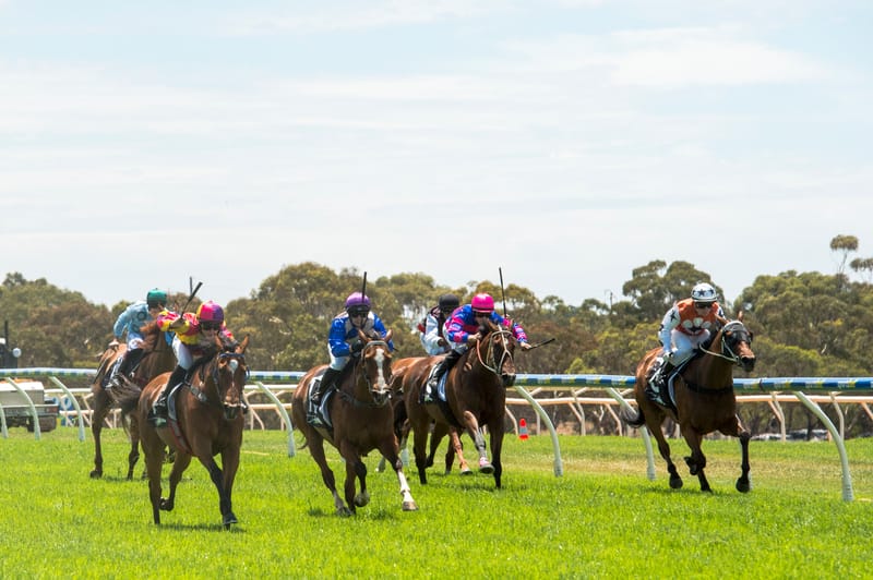 Bordertown-trained horse ‘storms’ to victory at Strathalbyn Cup post image