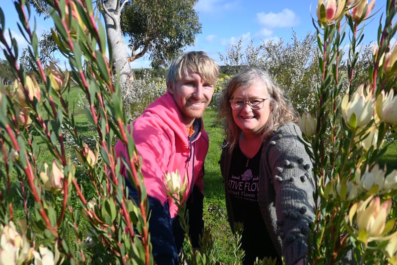 New season almost blooms post image