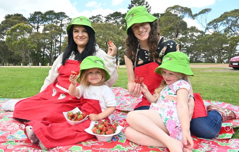 A berry special tradition returns post image