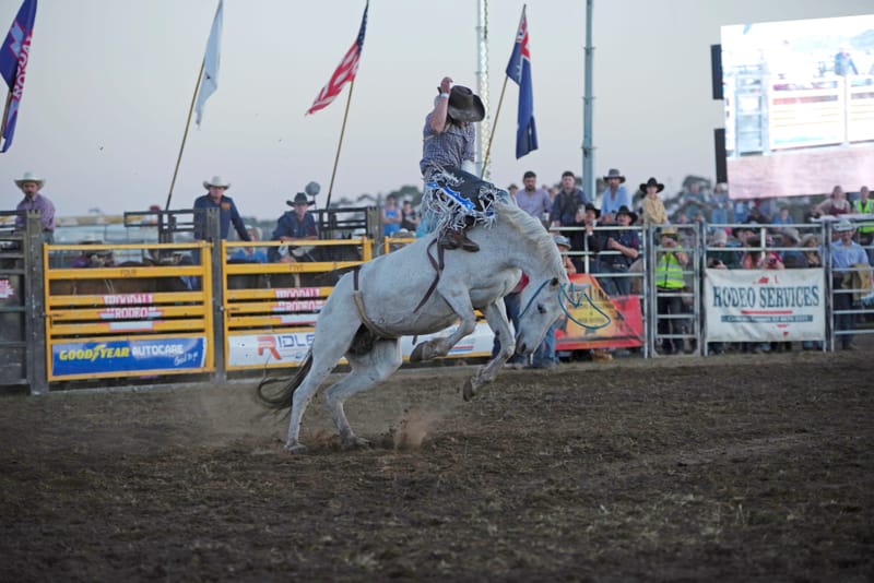 Huge crowds for rodeo action post image