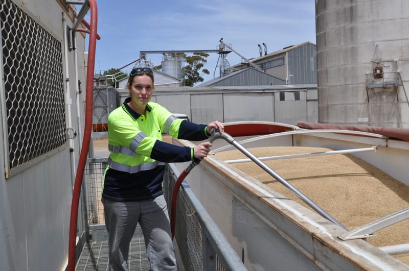 Harvest in full swing post image