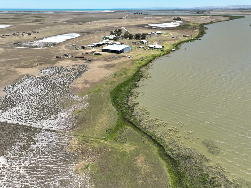 Station to become a wetland post image