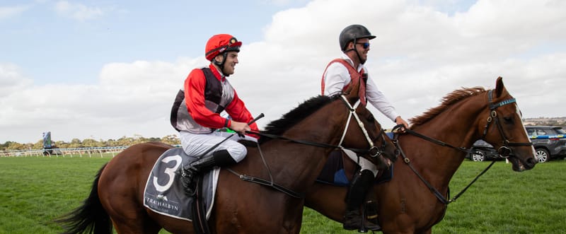 Kirkliston Blu claims Strathalbyn Cup post image