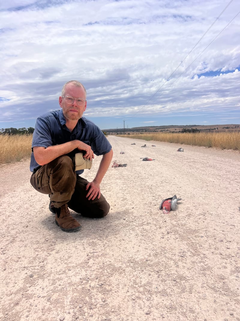 Safety concern sparked for rural road post image