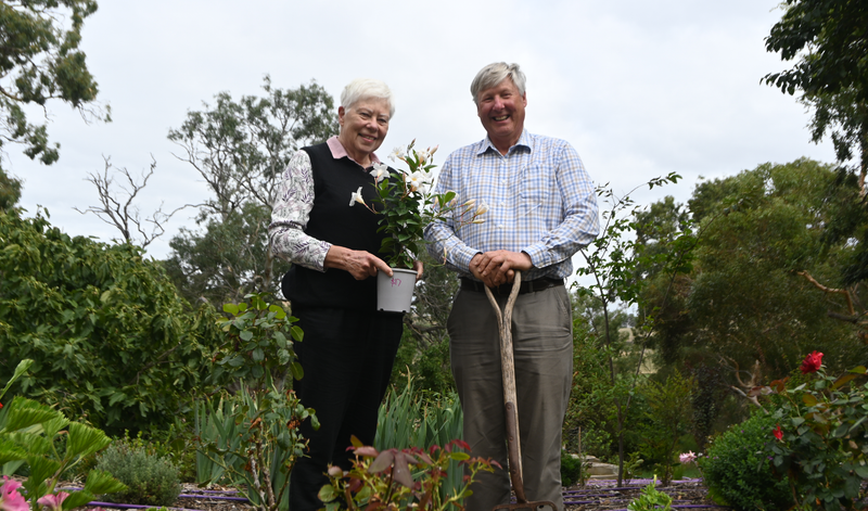 A blooming beautiful gala post image