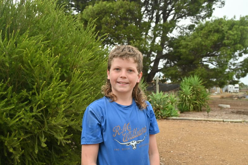 Mullets for mental health post image